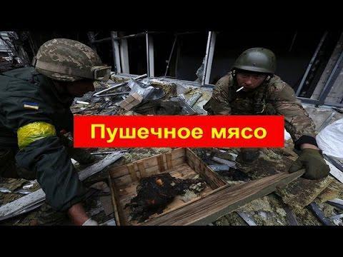"Пушечному мясу" Украины посвящается. Т. Монтян 