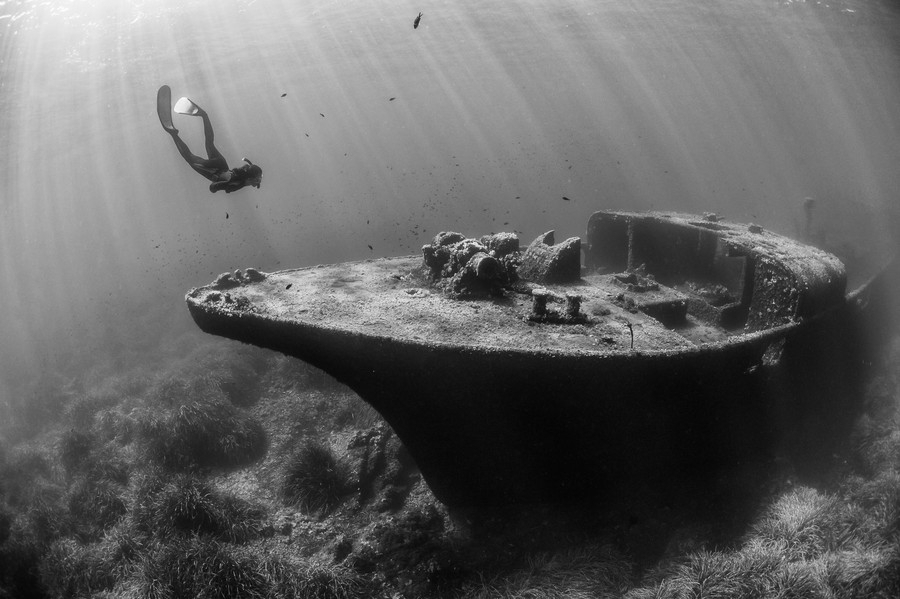 37 подводных фото