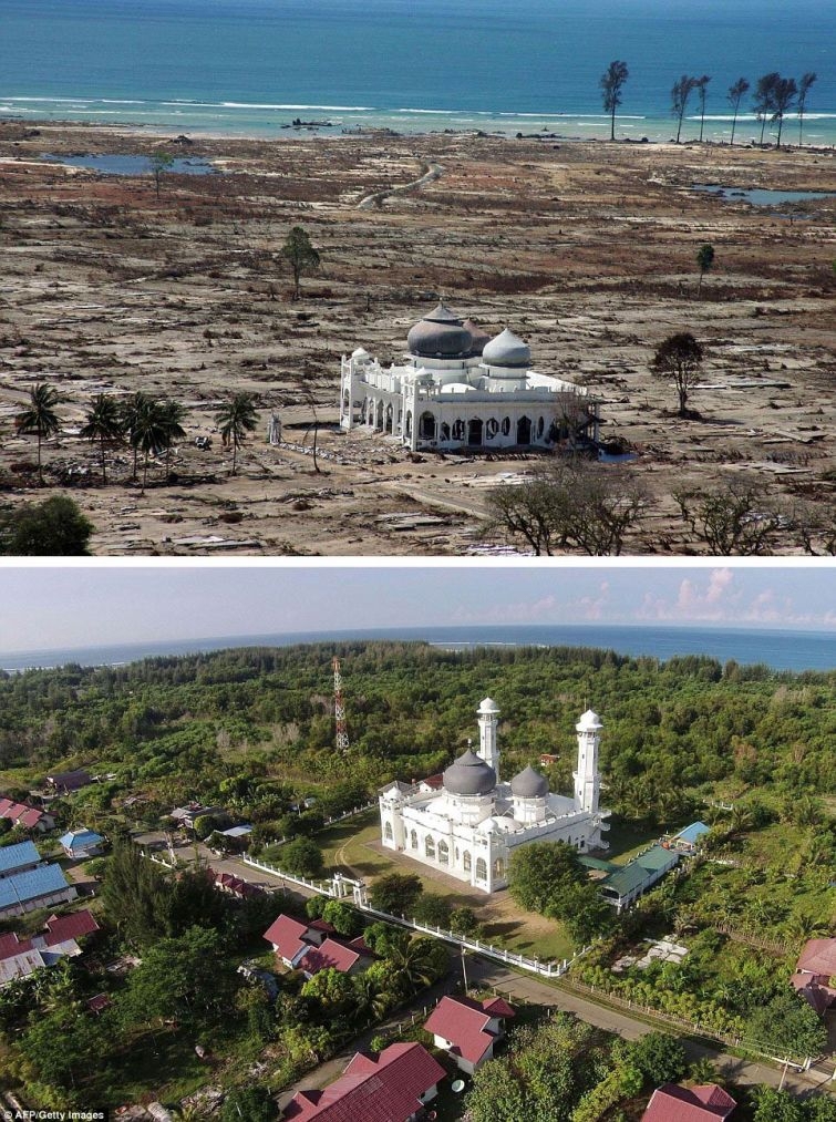 10 лет спустя: сравнительные фотографии восстановления Индонезии