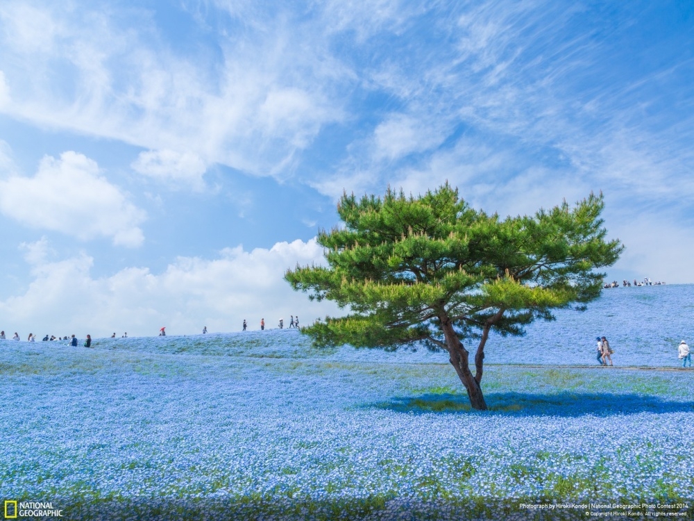 Лучшие фотографии National Geographic 2014