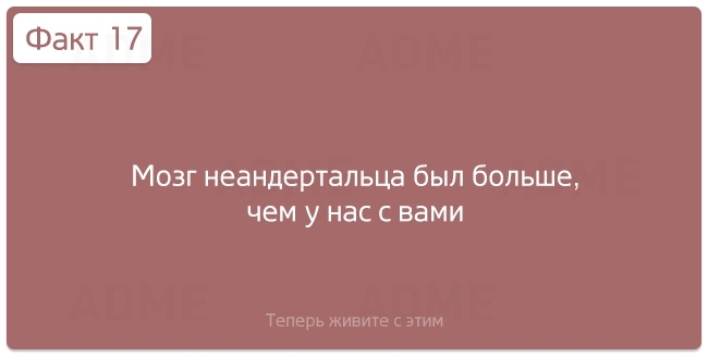 "Нужные" факты об окружающем мире и человеческой жизнедеятельности