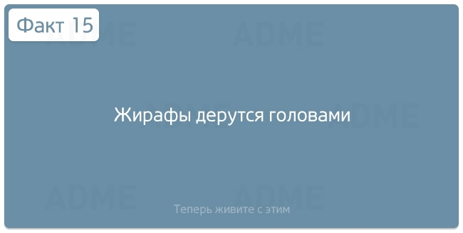 "Нужные" факты об окружающем мире и человеческой жизнедеятельности