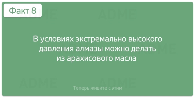 "Нужные" факты об окружающем мире и человеческой жизнедеятельности