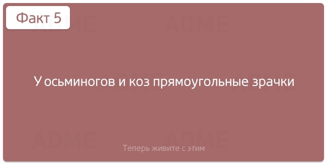 "Нужные" факты об окружающем мире и человеческой жизнедеятельности