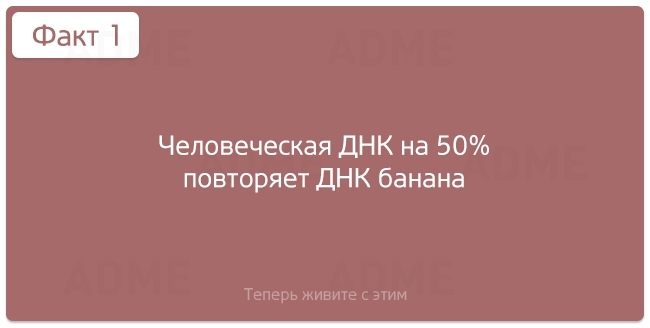 "Нужные" факты об окружающем мире и человеческой жизнедеятельности