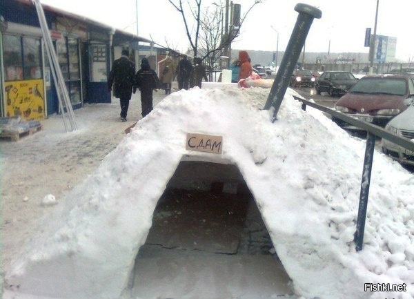 Из солянки