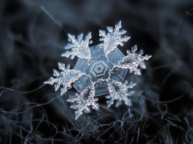 15 макрофотографий снежинок