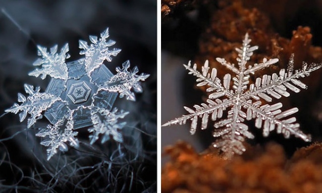 15 макрофотографий снежинок