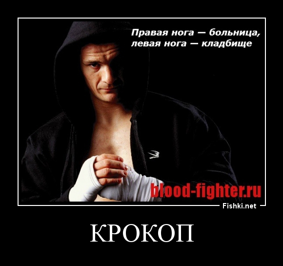 крокоп