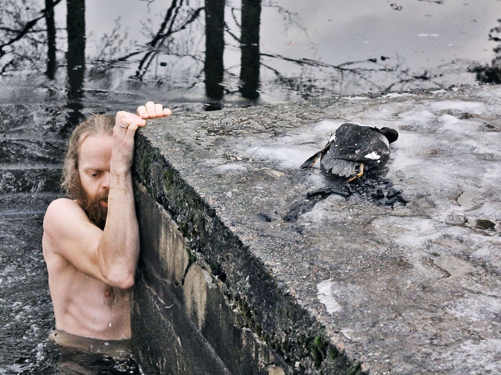 Мужик спас утку, вытащив её из-под льда 