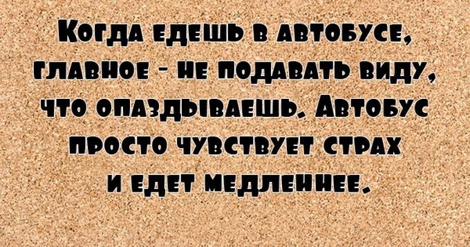 27 веселых цитат, которые поднимут тебе настроение на весь день