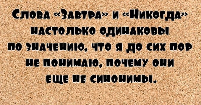 27 веселых цитат, которые поднимут тебе настроение на весь день