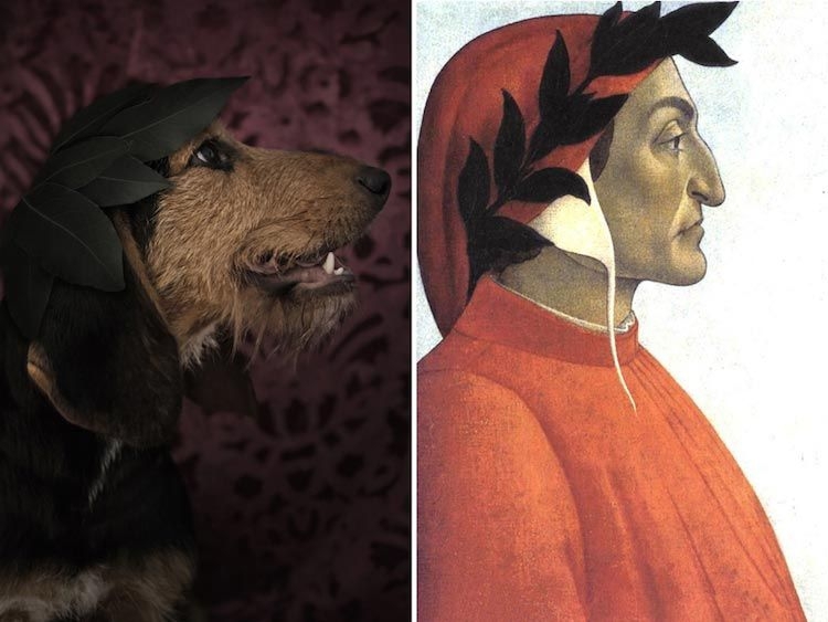 Известные писатели в истории и их двойники-собаки