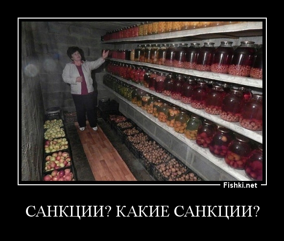 Санкции? Какие санкции?