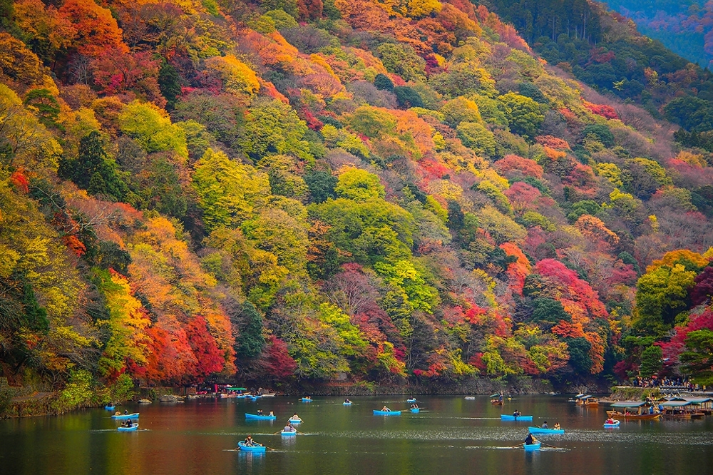 Осень в Японии 2015