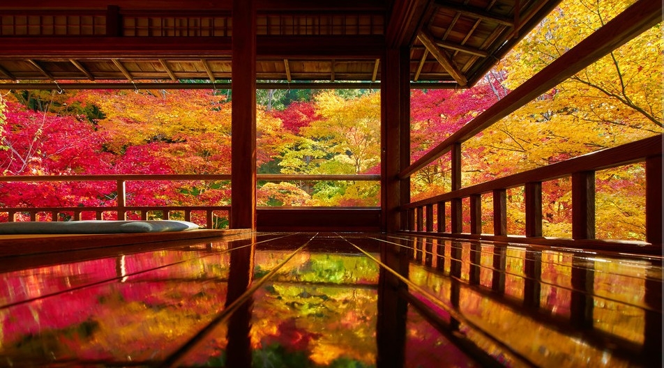 Осень в Японии 2015