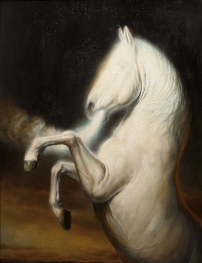 Мартин Витвус (Martin Wittfooth)