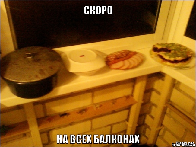 Из солянки