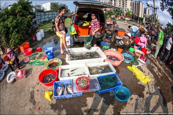 Рынок морепродуктов на Хайнане 