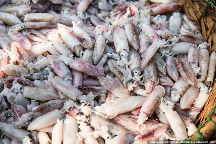 Рынок морепродуктов на Хайнане 