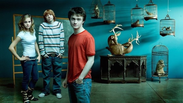 50 интересных фактов о Гарри Поттере
