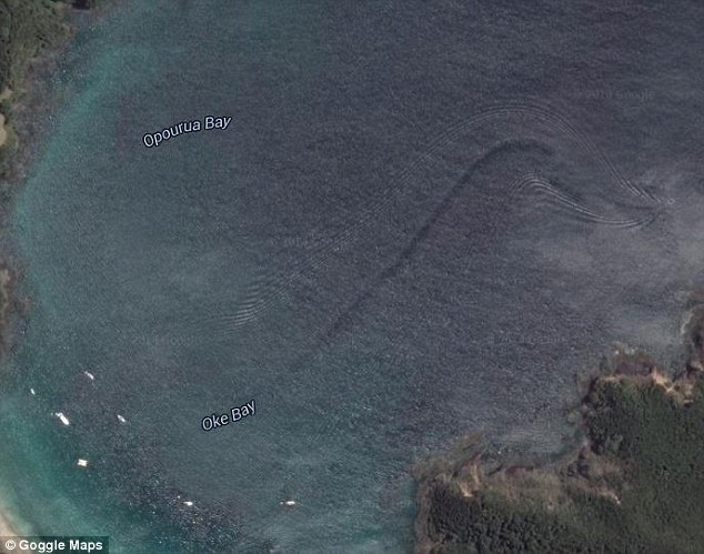 В одной из бухт Новой Зеландии было замечено гигантское существо 