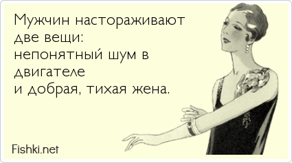 Мужчин настораживают  две вещи:  непонятный шум в  двигателе  и добрая, тихая жена.