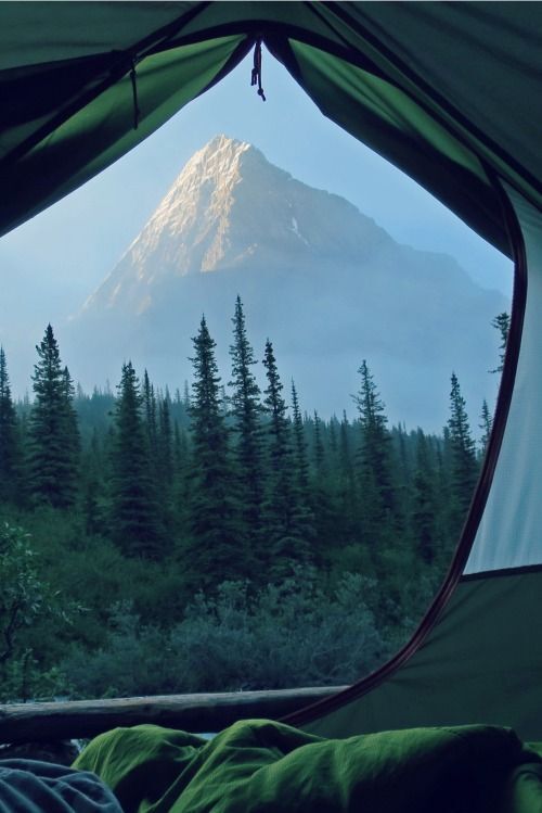 Прекрасный вид из палатки