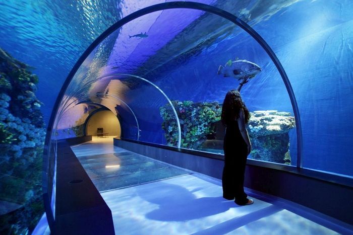 Уникальный океанариум «Голубая планета» в Дании 