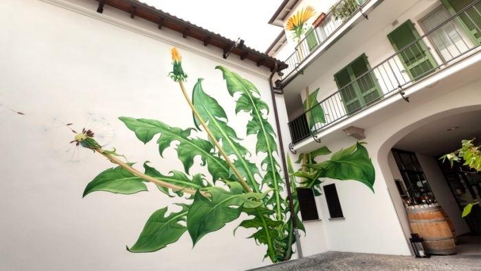 Девушка рисует на стенах сорняки, которые изменяются на глазах у зрите