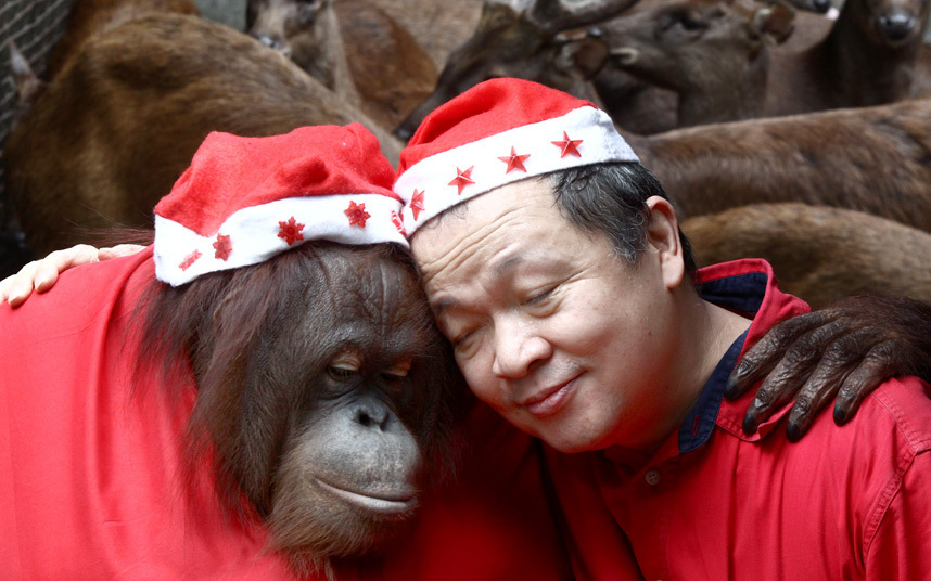 Орангутанг в шапке Санта-Клауса обнимает Мэнни Тангко во время рождественской вечеринки в зоопарке Малабон, Филиппины.