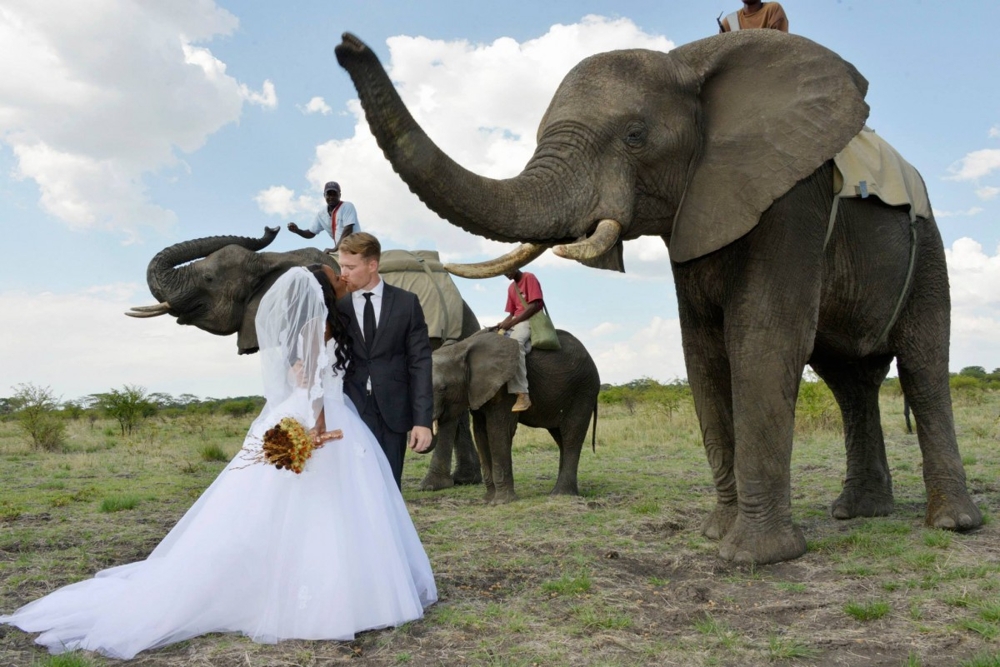  8 самых запоминающихся и красивых свадеб 2014 года