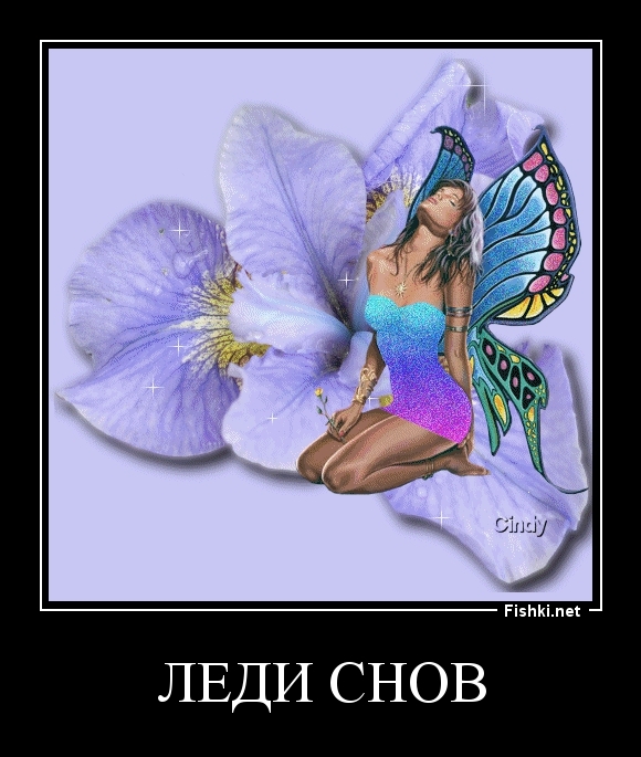 Леди снов