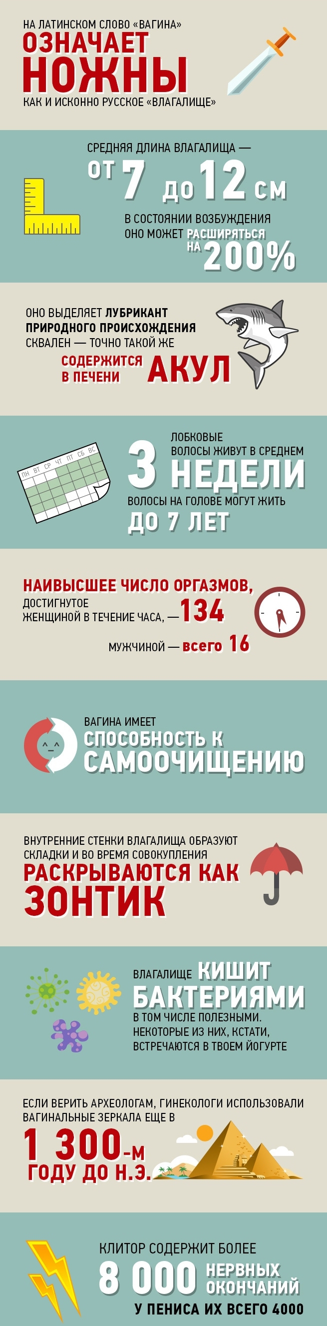 10 удивительных фактов
