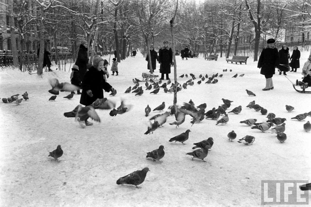 Русская зима в советских фотографиях