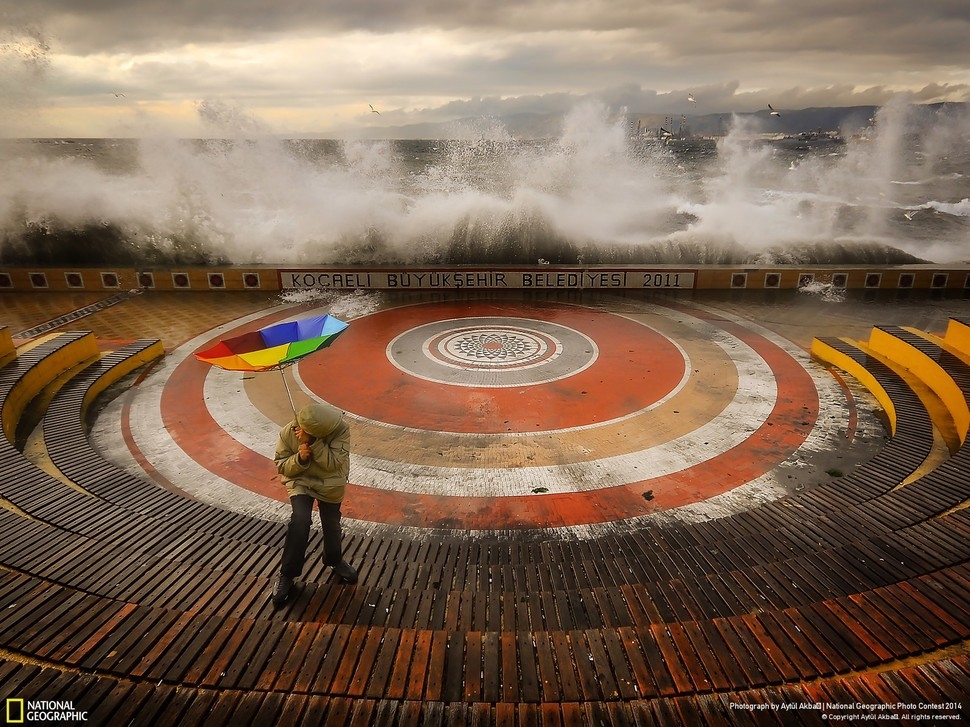 Победители фотоконкурса National Geographic 2014