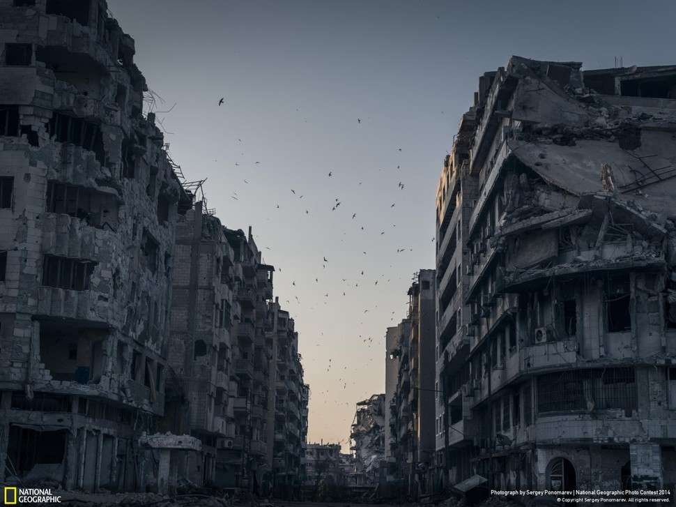 Победители фотоконкурса National Geographic 2014