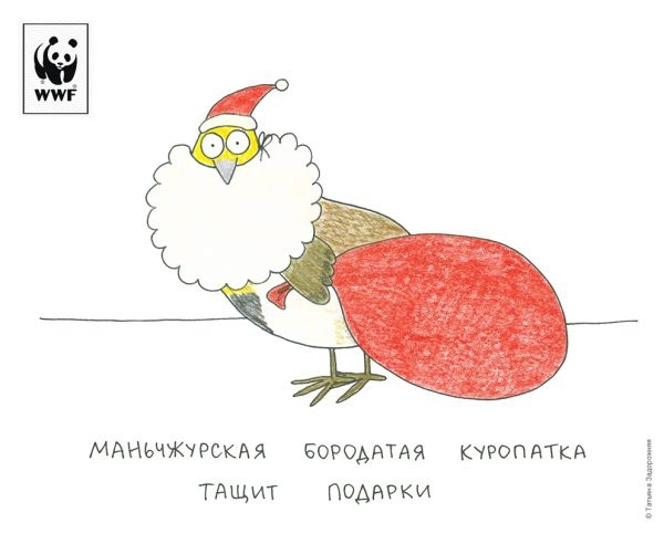 7 позитивных открыток на НГ с редкими животными