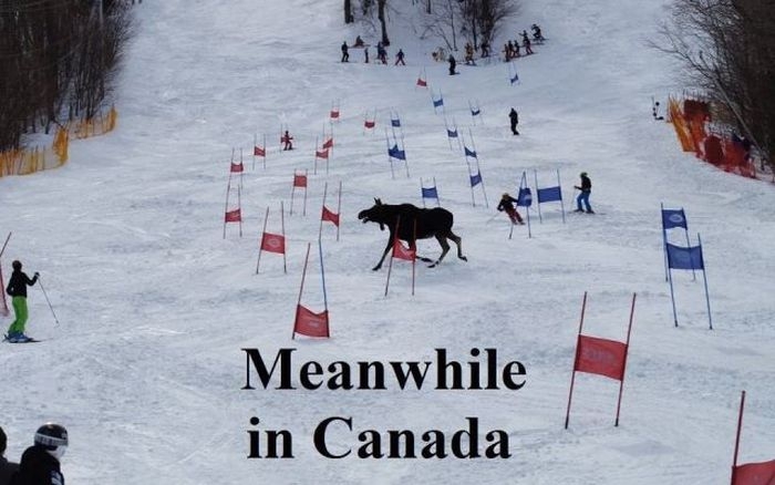 Такое возможно только в Канаде