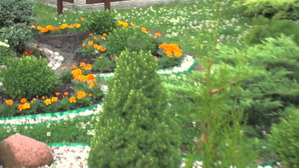 Цветы в саду в палисаднике 