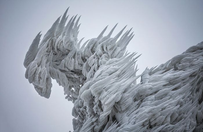 Сильные ветры и снегопады превратили Яворник в снежное королевство