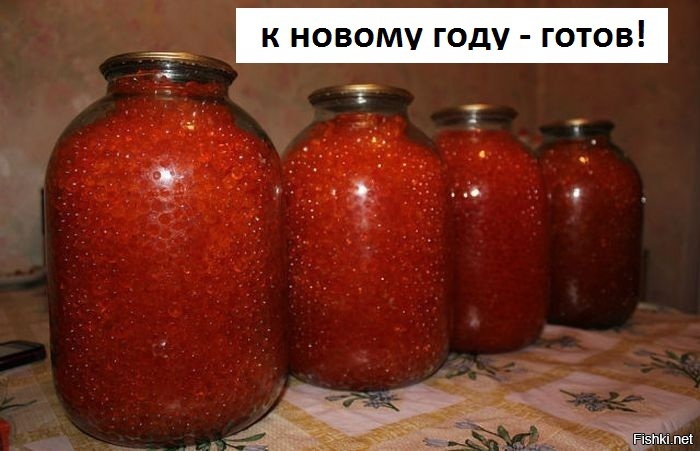 Из солянки