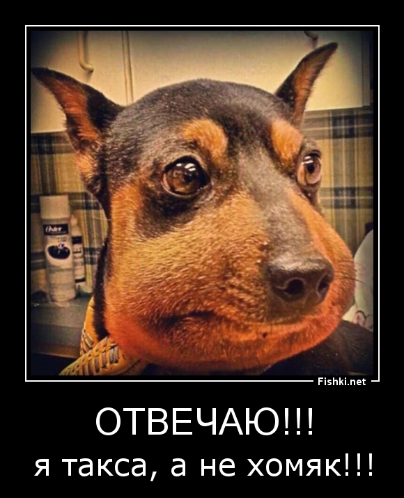 ОТВЕЧАЮ!!!
