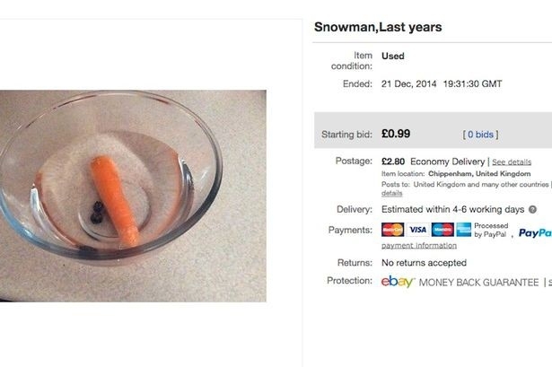 Самый глупый аукцион мира: продаётся прошлогодний снеговик!