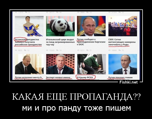 Какая еще пропаганда??