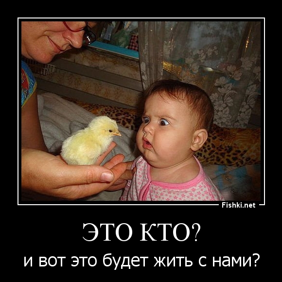 Это кто?