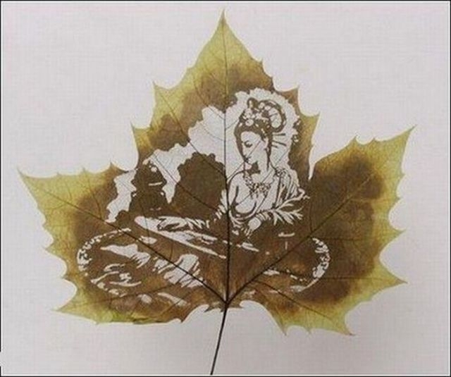 Рисунки на листьях клёна