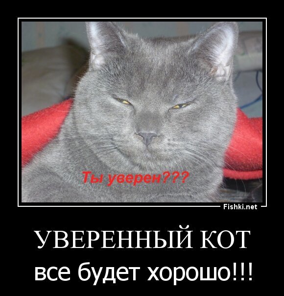Уверенный Кот