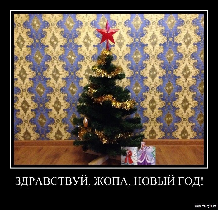 Здравствуй, жопа, Новый год!