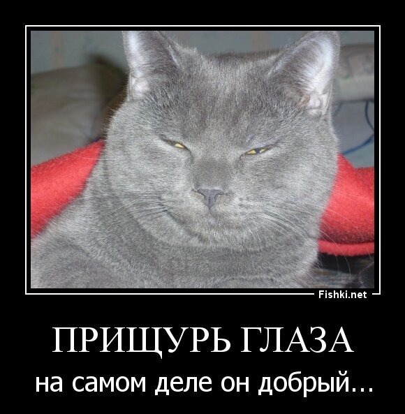Прищурь глаза
